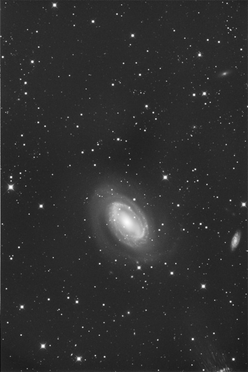 NGC4725L.jpg