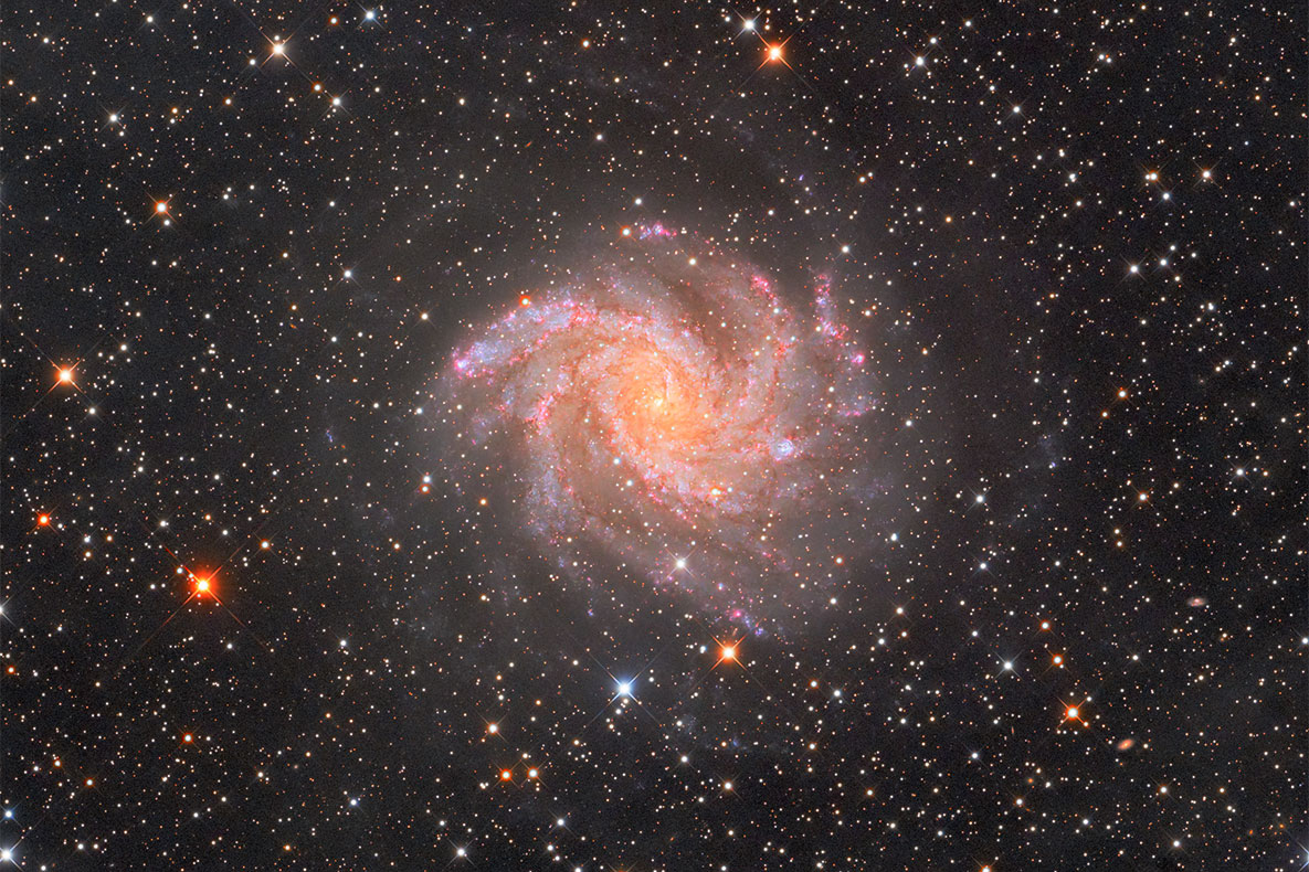 NGC6946_202508.jpg