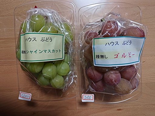 20250919.jpg