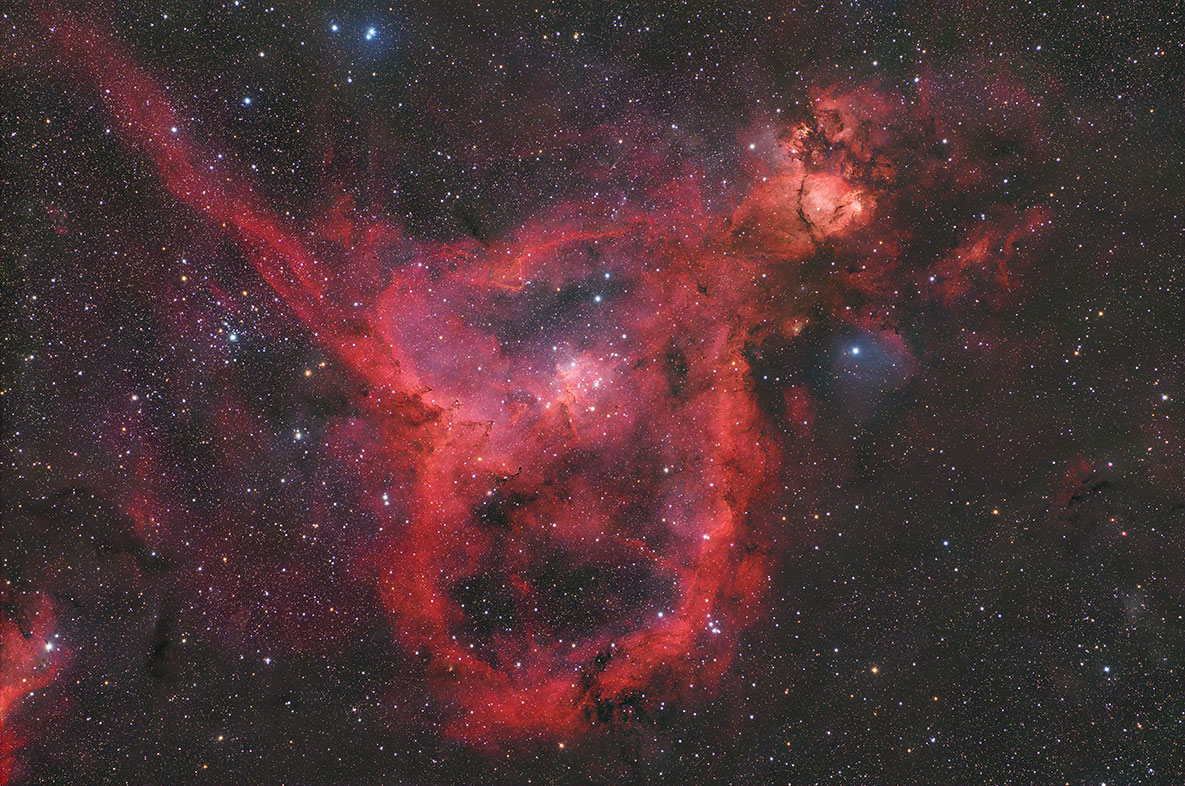 IC1805_202509.jpg
