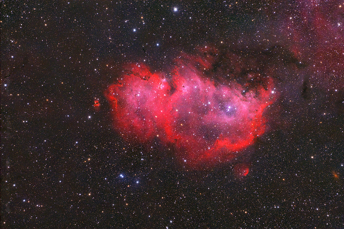 IC1848_202509.jpg