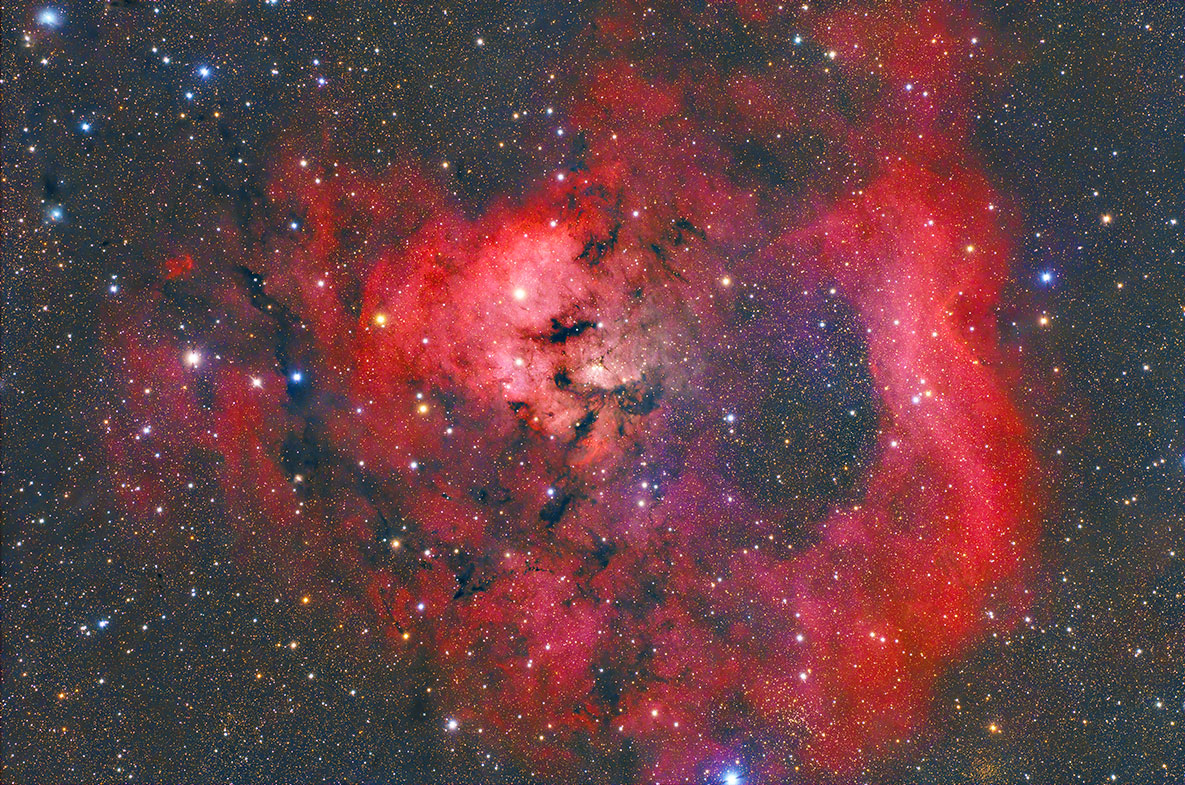 NGC7822NF_202510.jpg