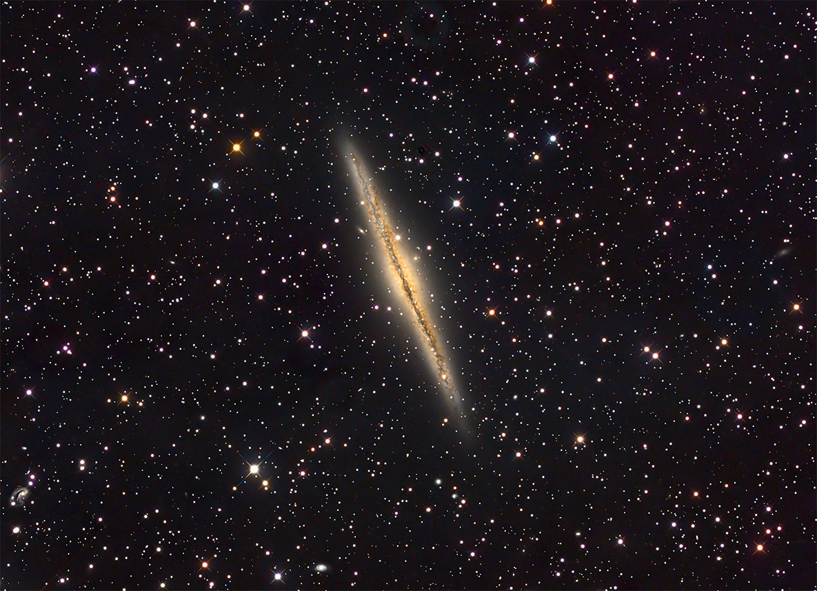 NGC891_202510.jpg