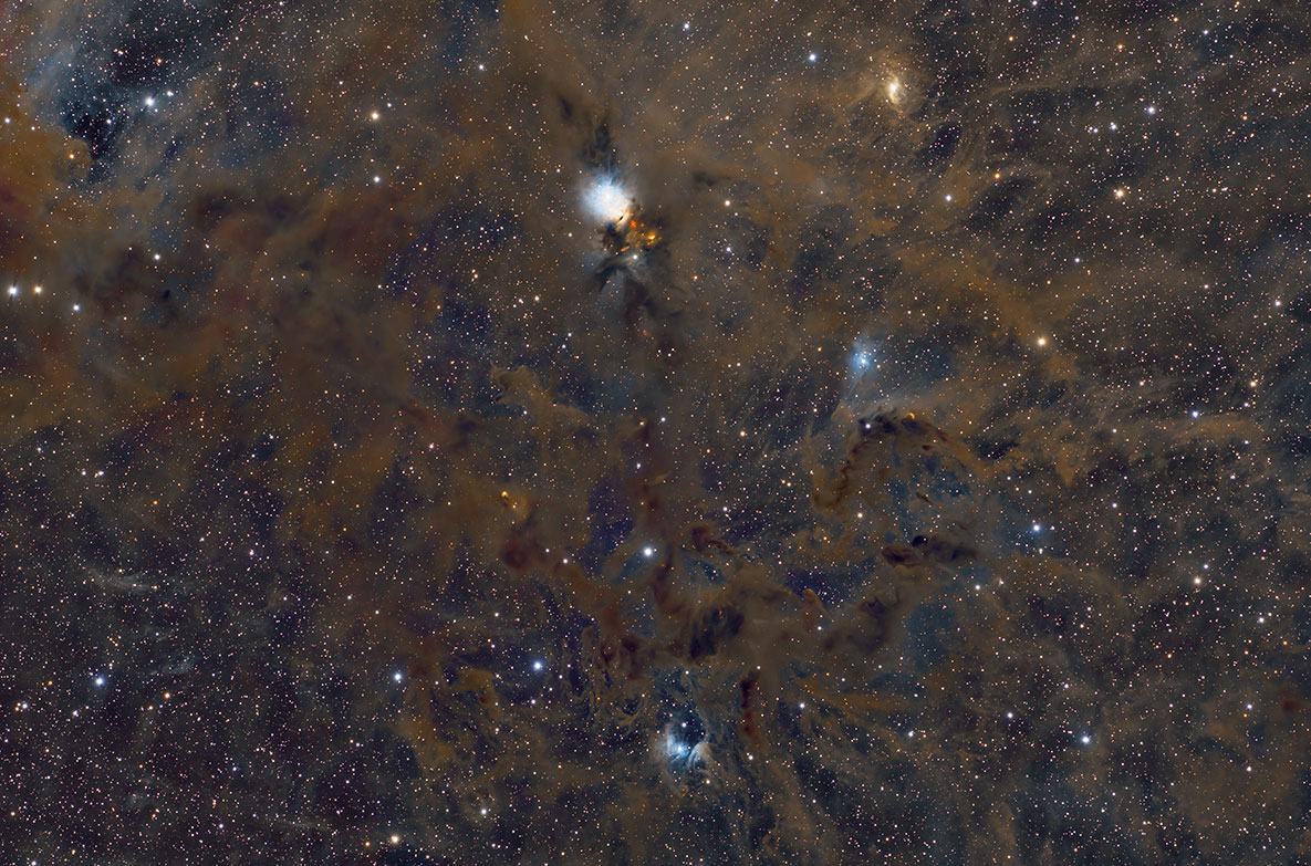 NGC1333_202511.jpg