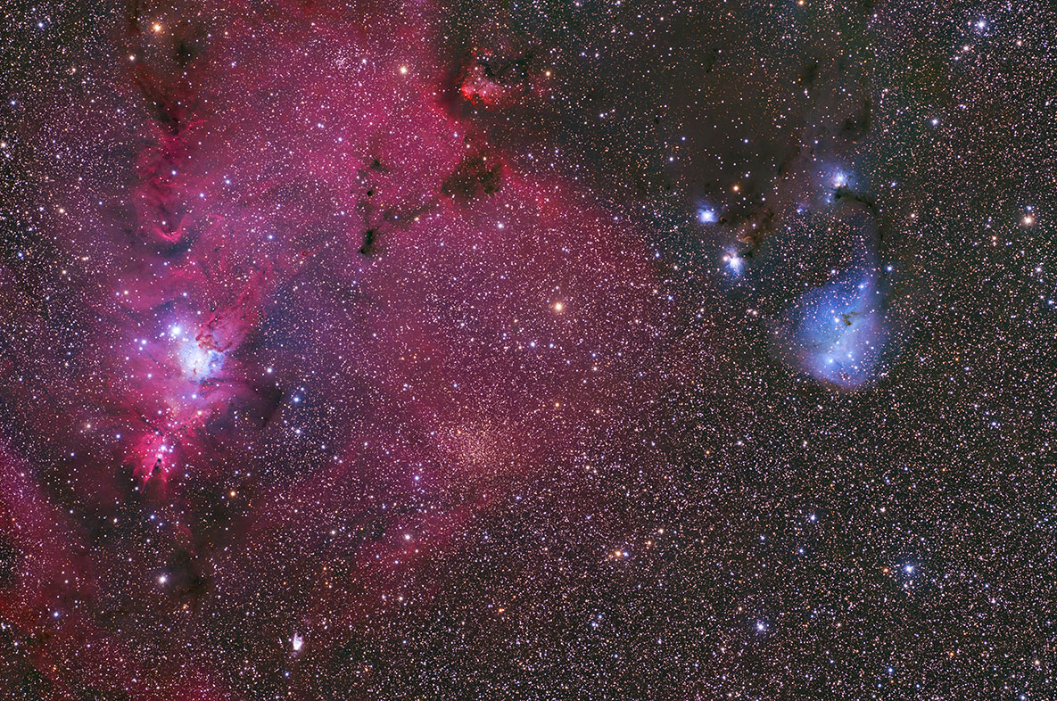 NGC2264_202511.jpg