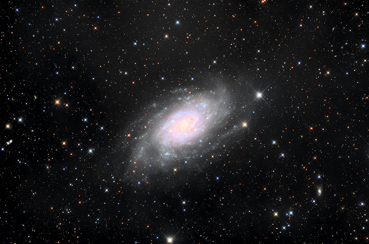 NGC2403_202512.jpg