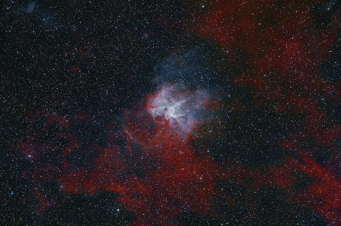 NGC2359_202601.jpg