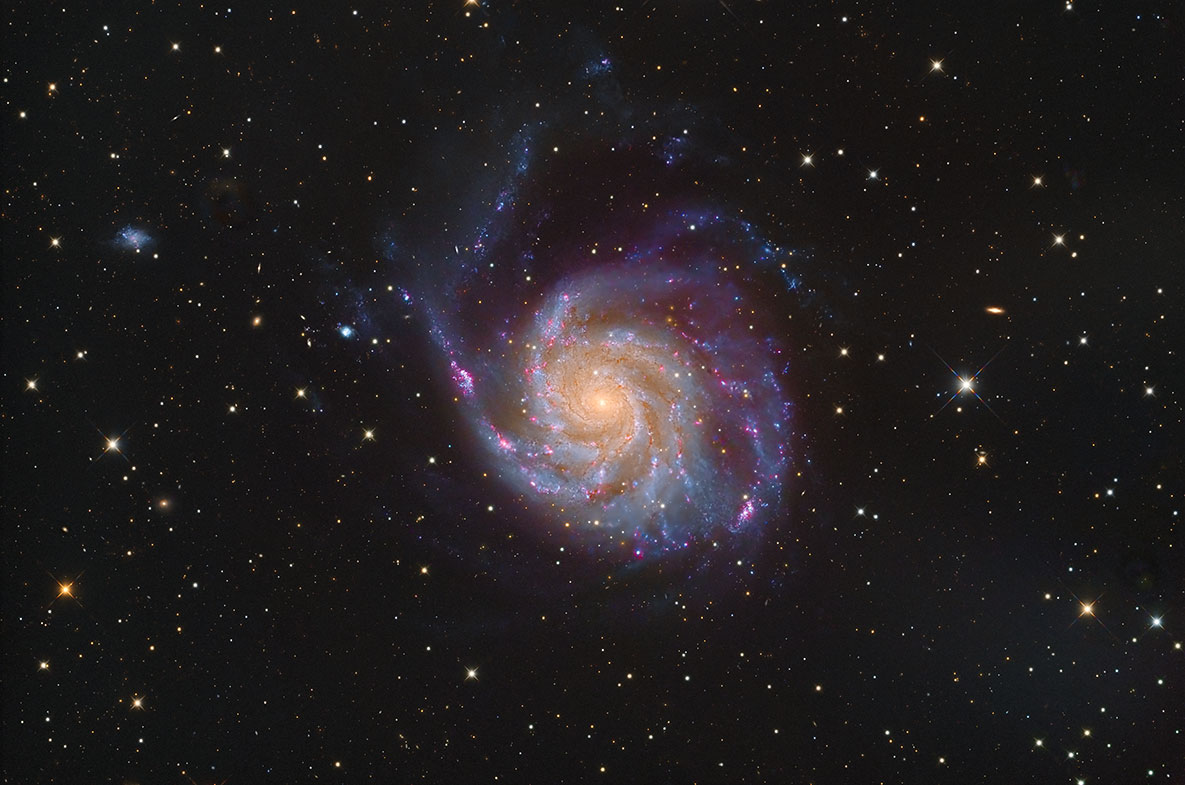 M101_202602.jpg
