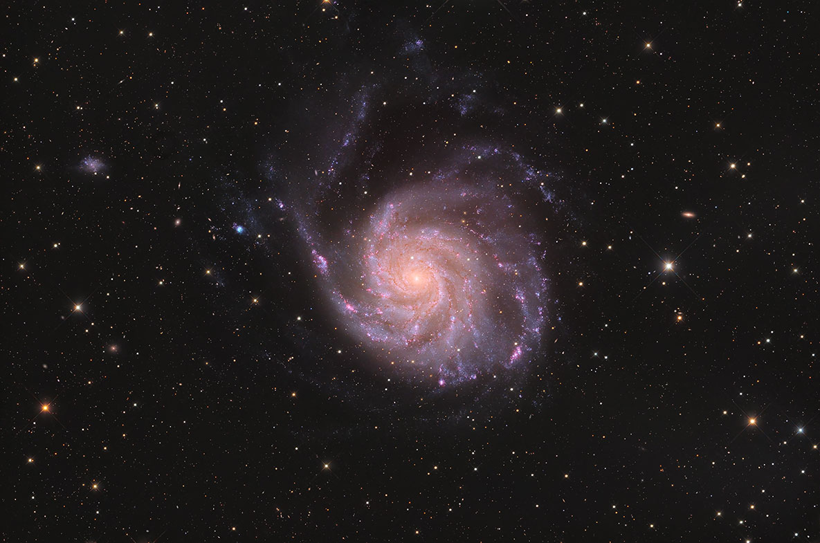 M101_202603.jpg