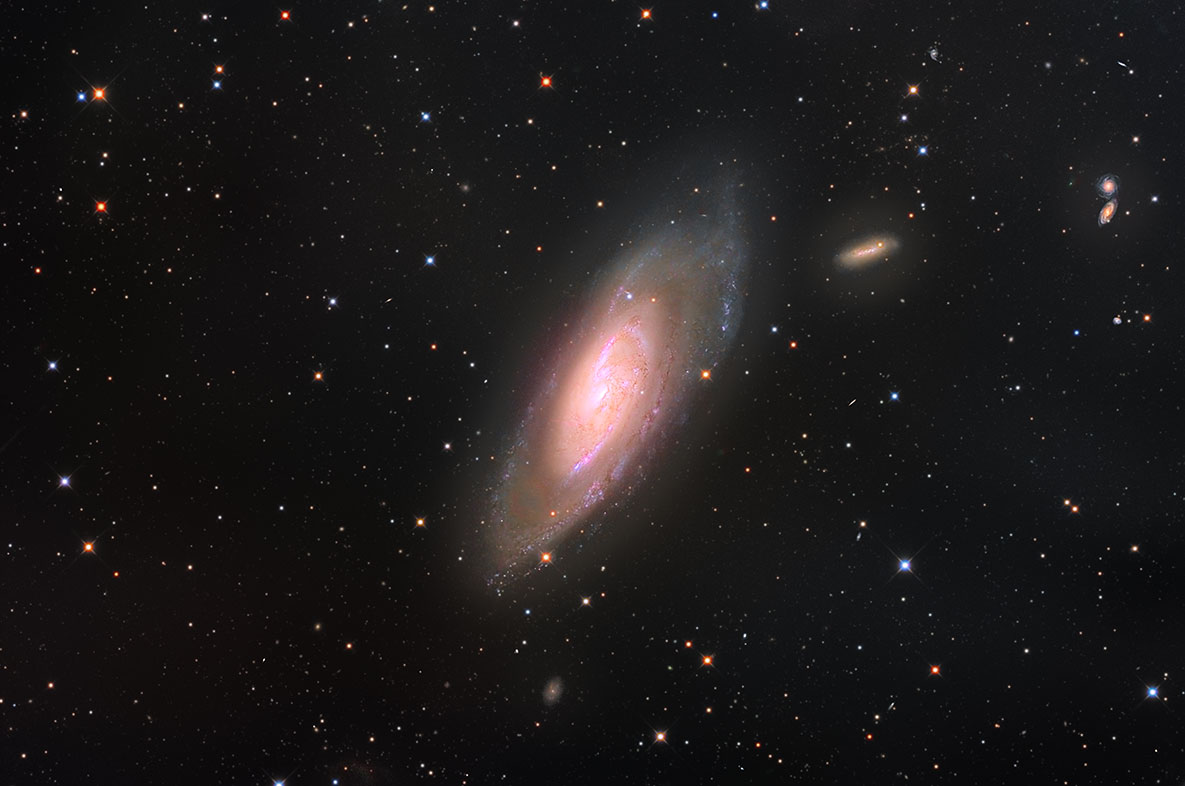 M106_202602.jpg