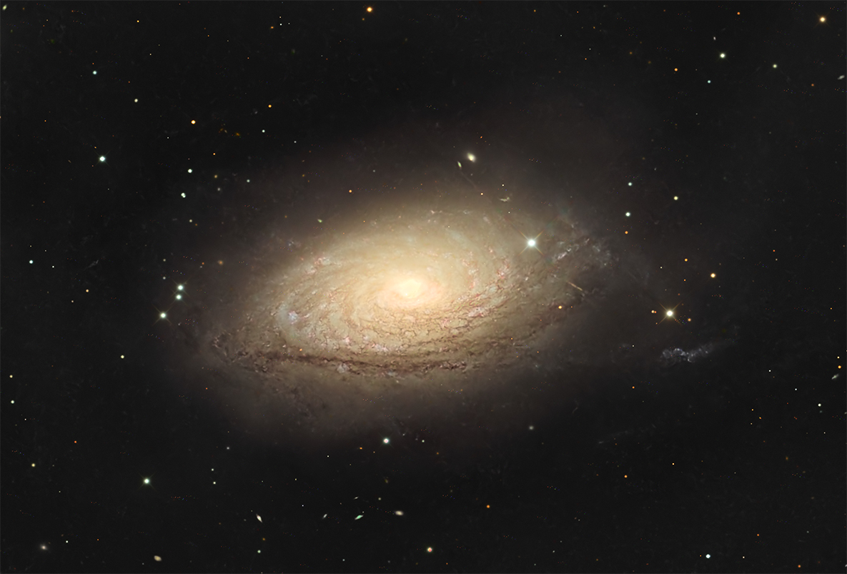 M63_202603.jpg