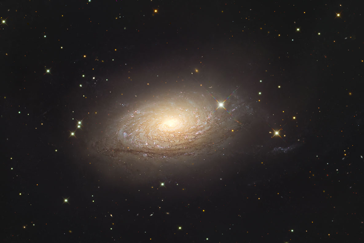 M63_202603a.jpg