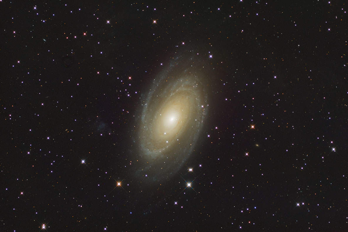 M81_202602.jpg
