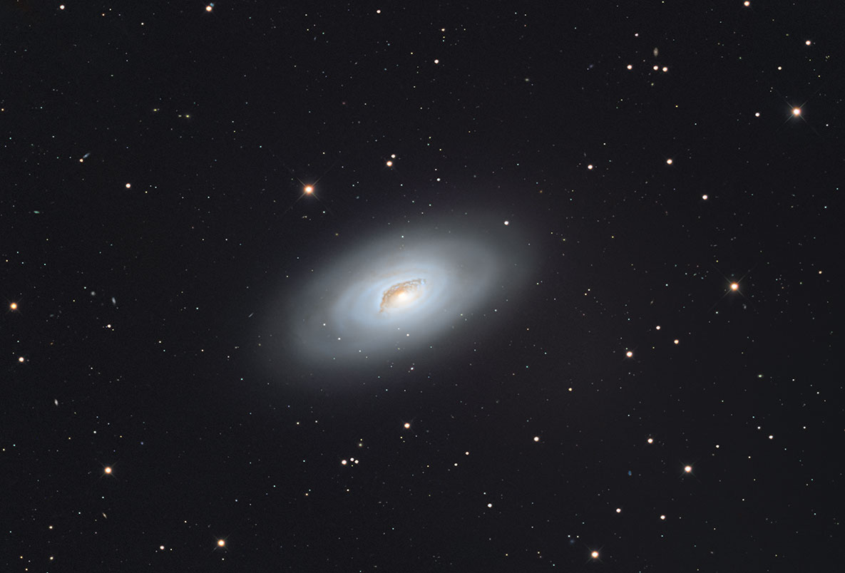 M64_202604.jpg