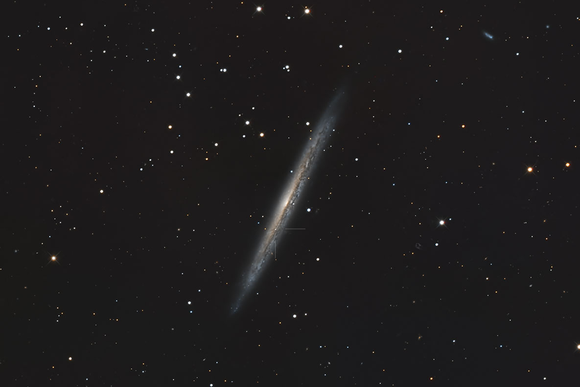 SN2026kid_202604.jpg