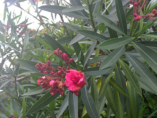 20260706_3.jpg