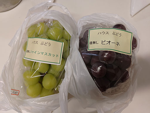 20260901_1.jpg